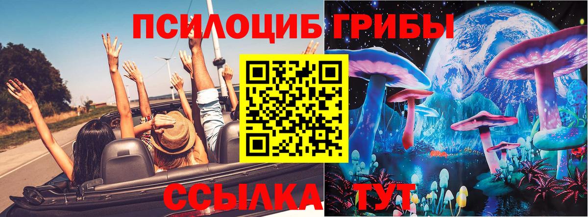 Галлюциногенные грибы прущие грибы Бузулук