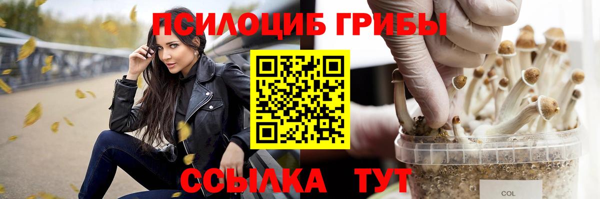 Галлюциногенные грибы Cubensis  Вход с VPN  Бузулук 